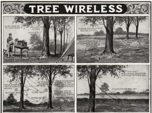 treewireless